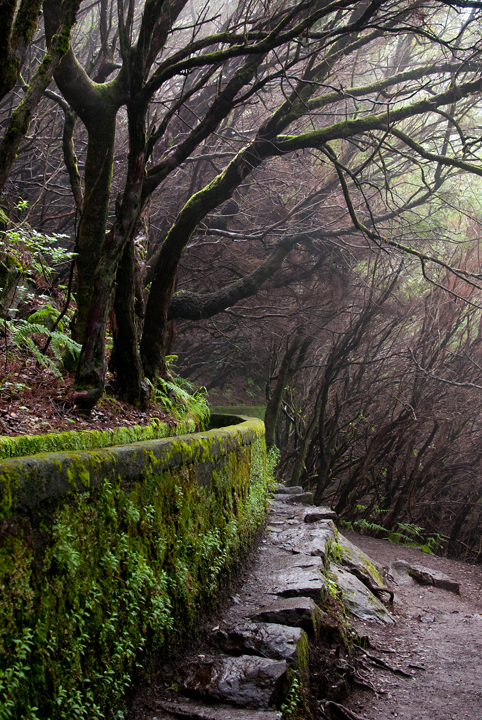 424_Madera_Levada das 25 Fontes.jpg
